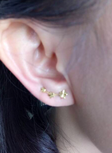 Detail Gambar Anting Gambar Anting Tindik Nomer 39