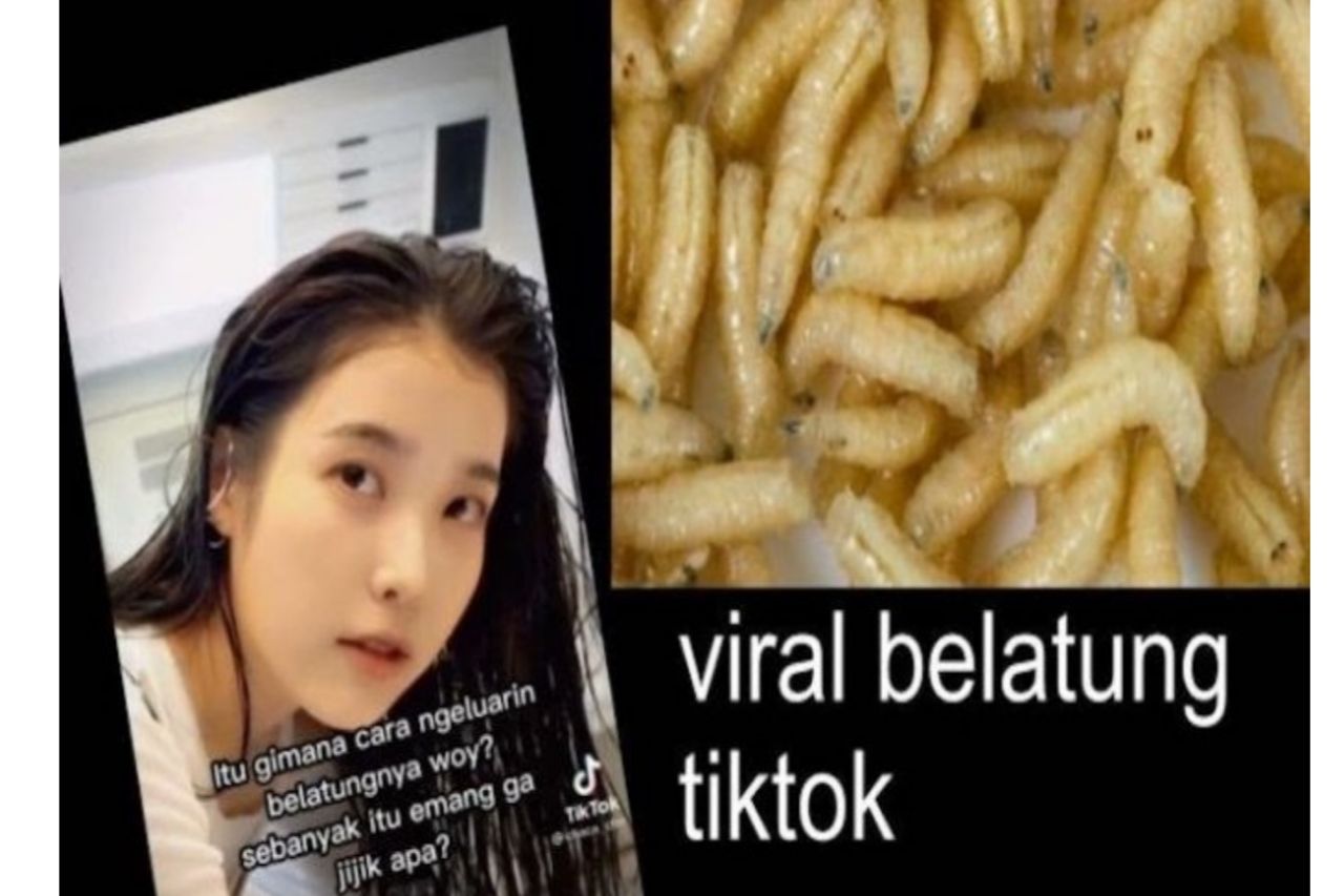 Eljie licay tiktok philippines influencertiktoker --tikstar