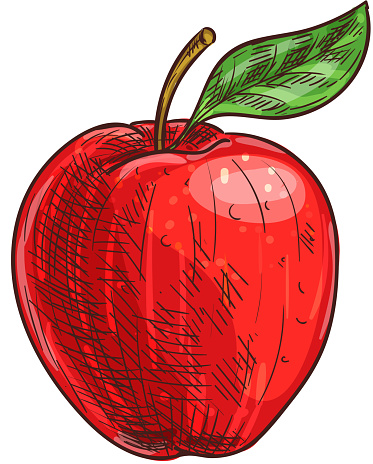 Detail Gambar Apel Merah Sketsa Nomer 39