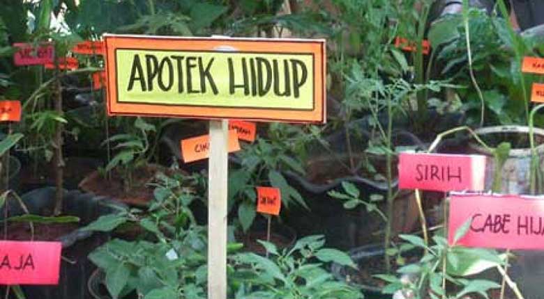 Gambar Apotek Hiduptanaman Obat - KibrisPDR