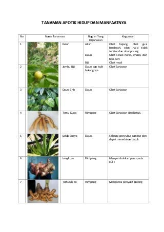 Detail Gambar Apotek Hiduptanaman Obat Nomer 11