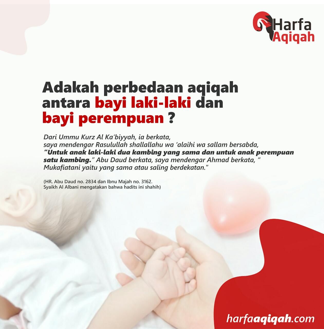 Detail Gambar Aqiqah Anak Nomer 28