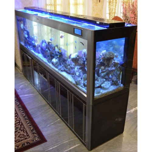 Detail Gambar Aquarium Air Tawar Nomer 26