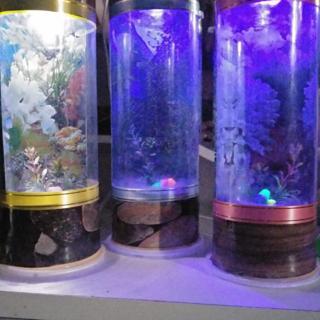 Detail Gambar Aquarium Bulat Nomer 55