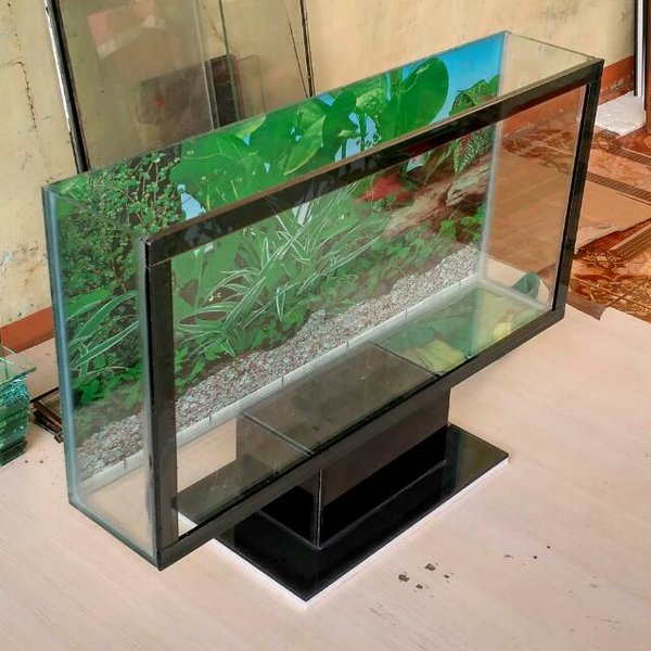 Detail Gambar Aquarium Cantik Nomer 57