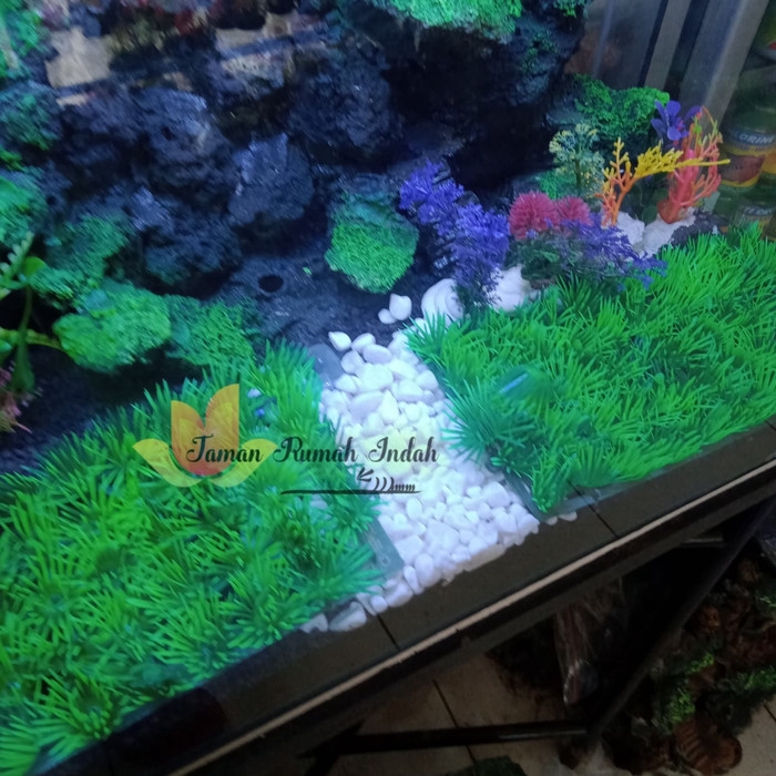 Detail Gambar Aquarium Cantik Nomer 9