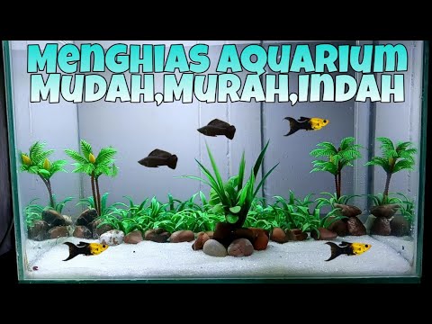 Detail Gambar Aquarium Ikan Nomer 56