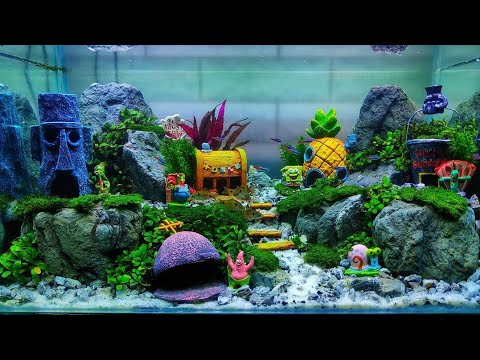 Gambar Aquarium Keren - KibrisPDR