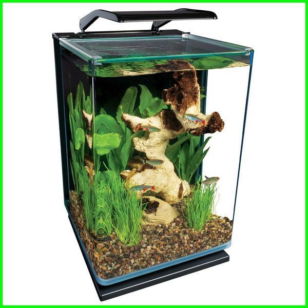 Detail Gambar Aquarium Keren Nomer 19