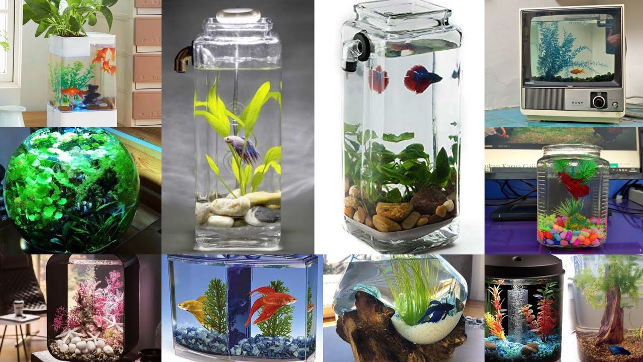 Detail Gambar Aquarium Keren Nomer 52