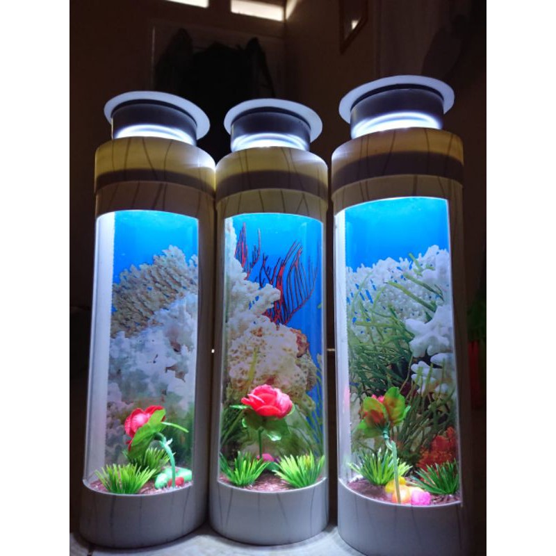 Detail Gambar Aquarium Keren Nomer 53