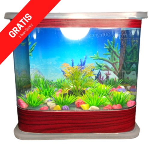 Detail Gambar Aquarium Mini Nomer 45