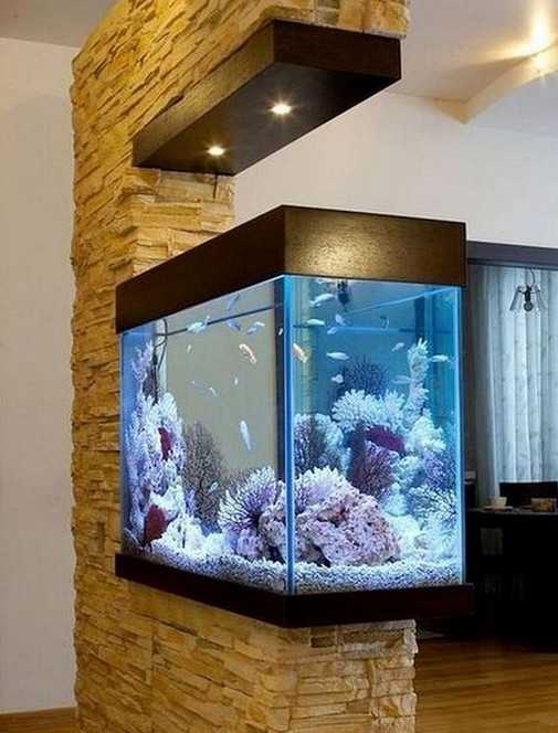 Detail Gambar Aquarium Minimalis Nomer 14