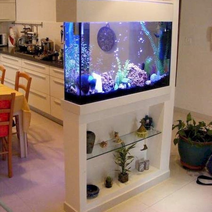 Detail Gambar Aquarium Minimalis Nomer 15