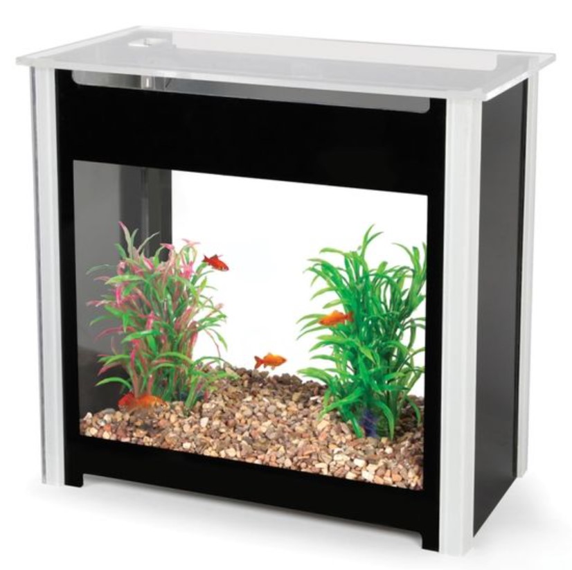 Detail Gambar Aquarium Minimalis Nomer 20