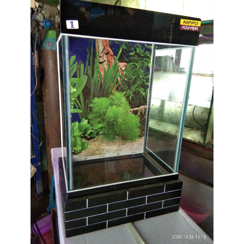 Detail Gambar Aquarium Minimalis Nomer 3