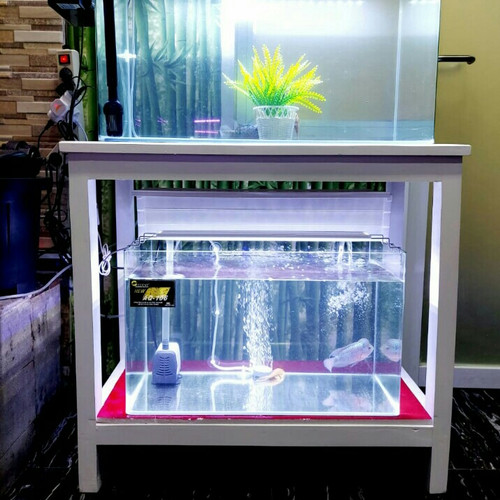 Detail Gambar Aquarium Minimalis Nomer 5