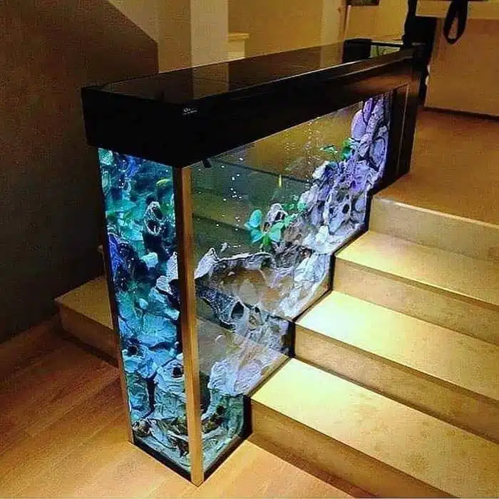 Detail Gambar Aquarium Minimalis Nomer 40