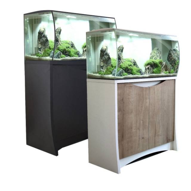 Detail Gambar Aquarium Minimalis Nomer 45