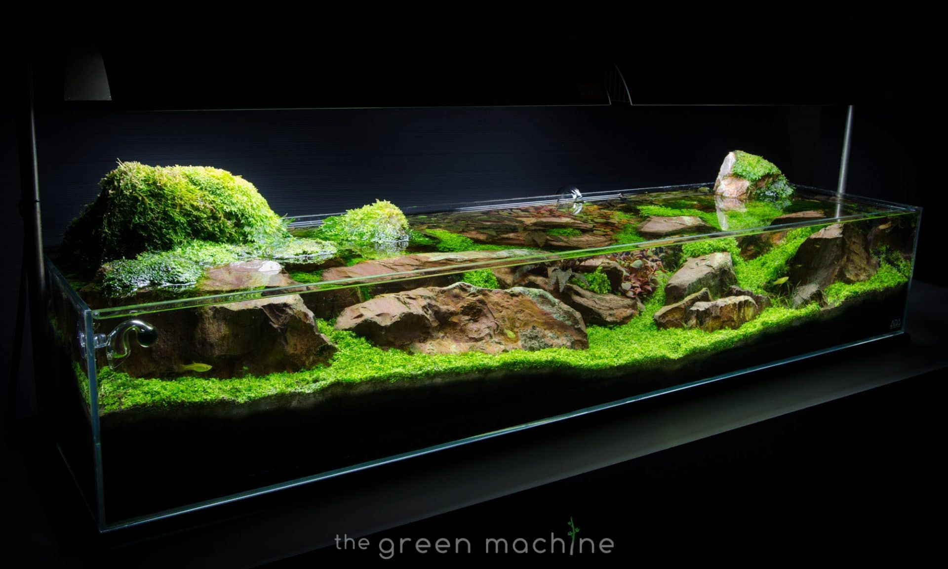 Detail Gambar Aquascape Nomer 23