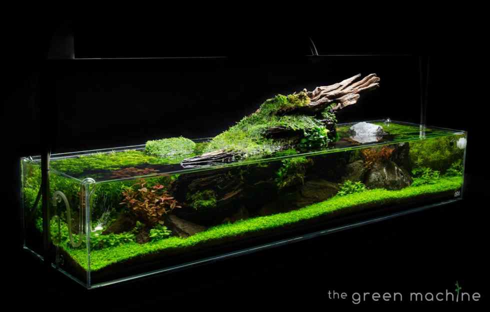 Detail Gambar Aquascape Nomer 8