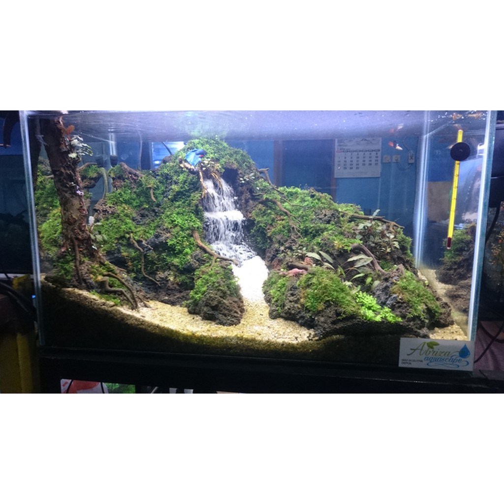 Detail Gambar Aquascape Air Terjun Nomer 38