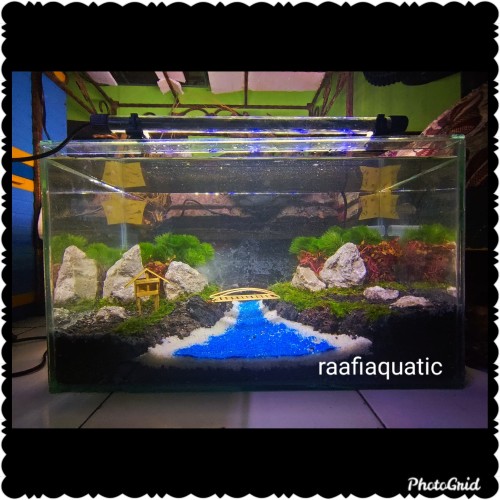 Detail Gambar Aquascape Minimalis Nomer 49