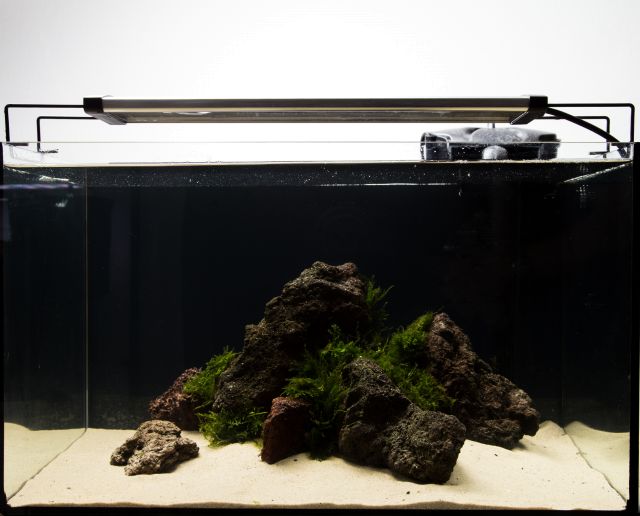 Detail Gambar Aquascape Simple Nomer 14