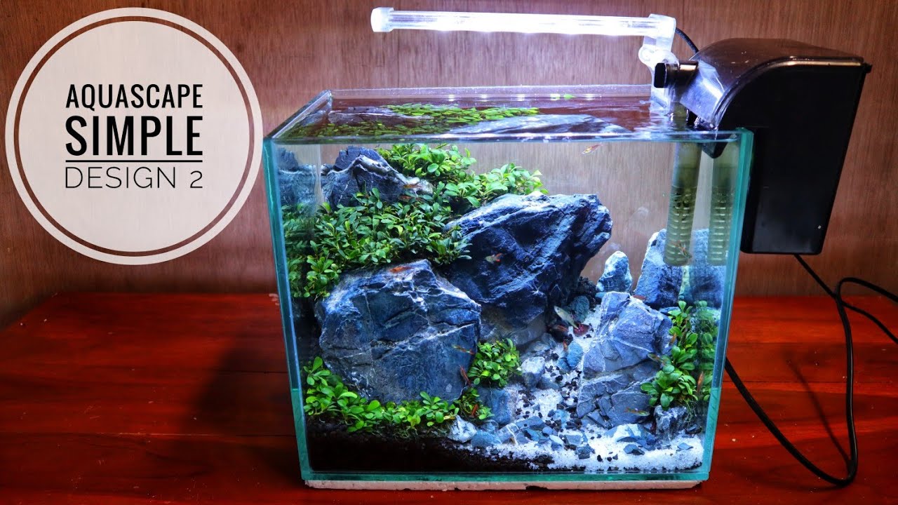 Detail Gambar Aquascape Simple Nomer 7