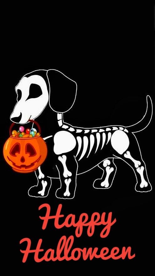 Halloween Hund - KibrisPDR