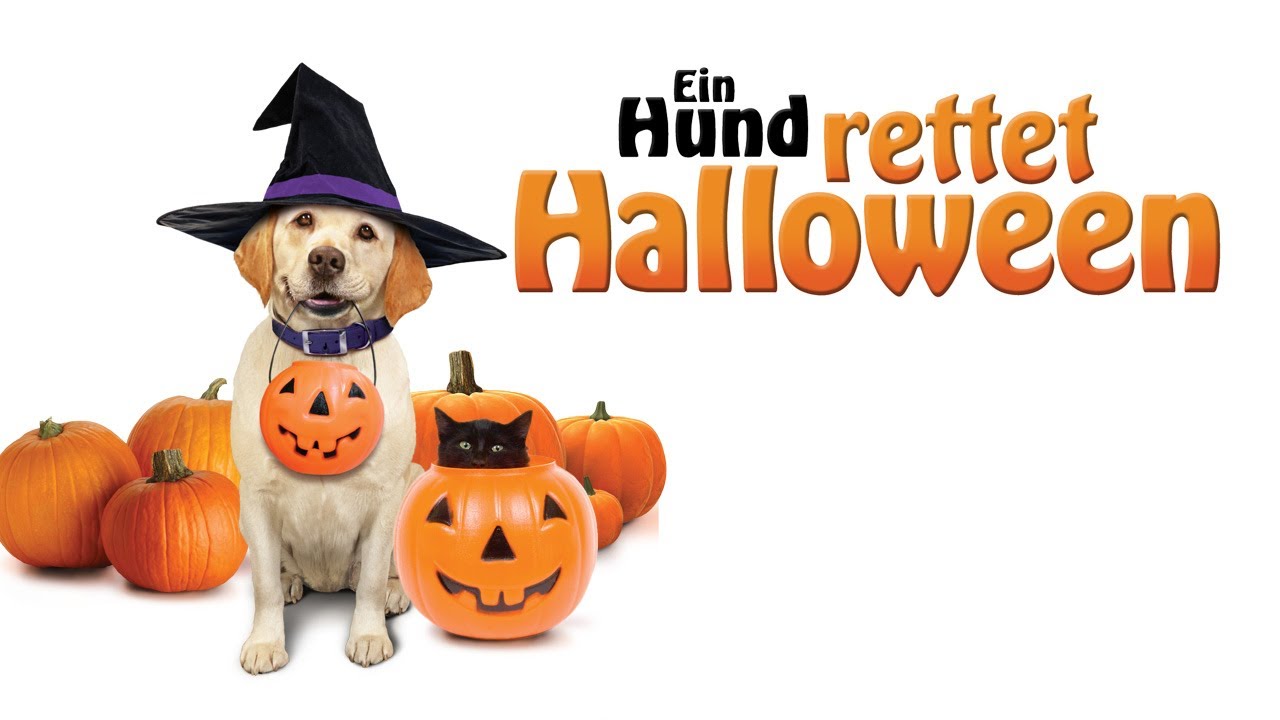 Detail Halloween Hund Nomer 10