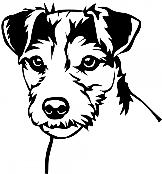 Detail Parson Russell Terrier Agility Nomer 23