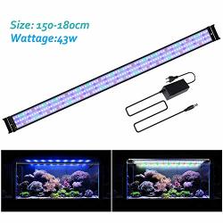 Detail Samsung Smart Tv Aquarium Screensaver Nomer 22