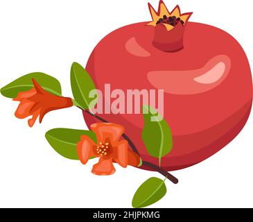 Detail Sweet Pomegranate Nomer 12