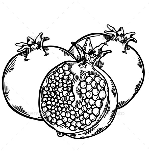 Detail Sweet Pomegranate Nomer 17