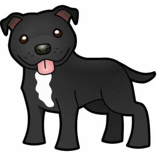 Detail American Pitbull Terrier Schwarz Nomer 14