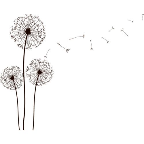 Detail Dandelion Drawing Nomer 8