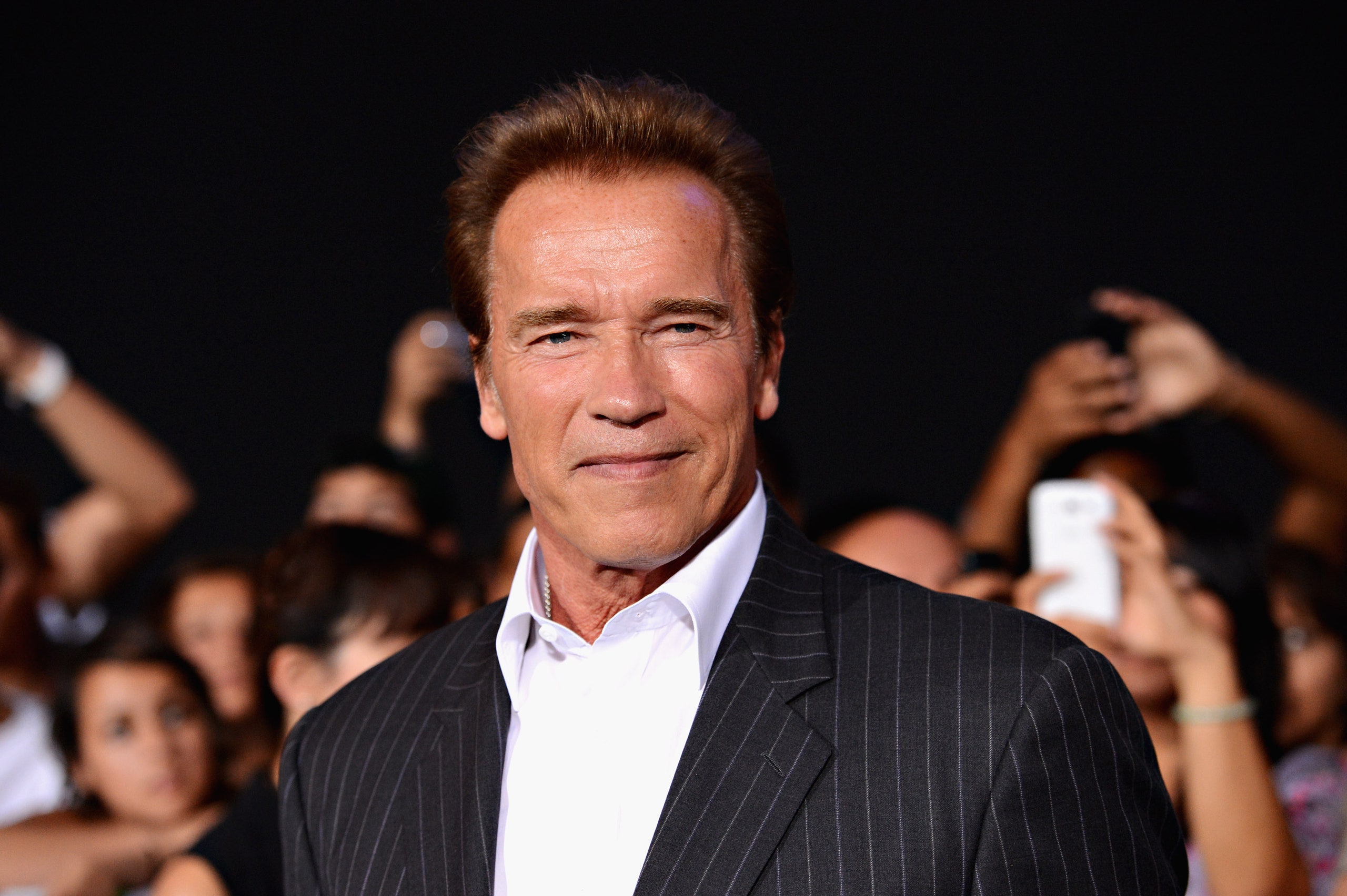 Detail Gambar Arnold Schwarzenegger Nomer 16