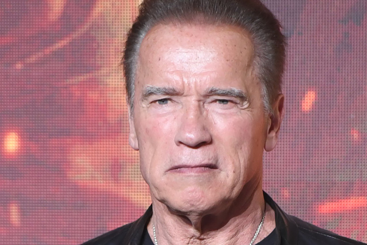 Detail Gambar Arnold Schwarzenegger Nomer 20