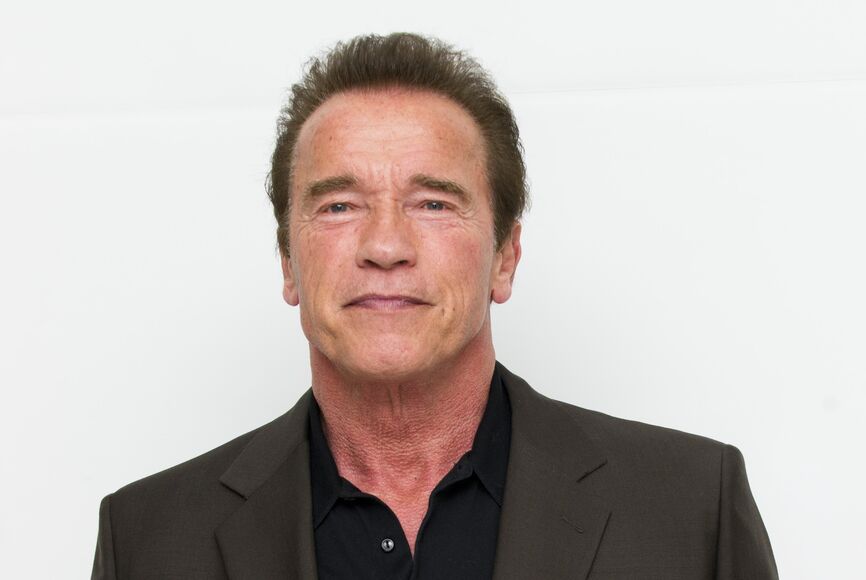 Detail Gambar Arnold Schwarzenegger Nomer 30