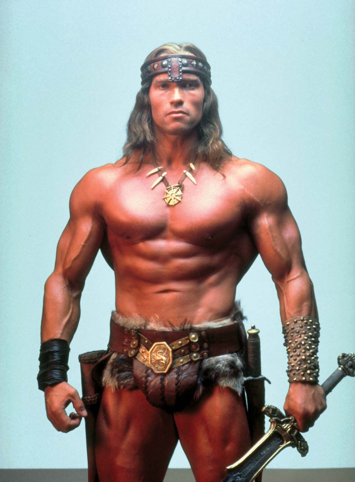 Detail Gambar Arnold Schwarzenegger Nomer 5