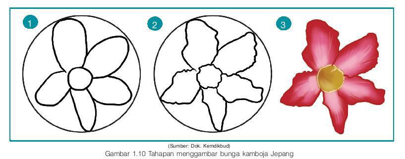 Detail Gambar Arsiran Bunga Kamboja Nomer 41