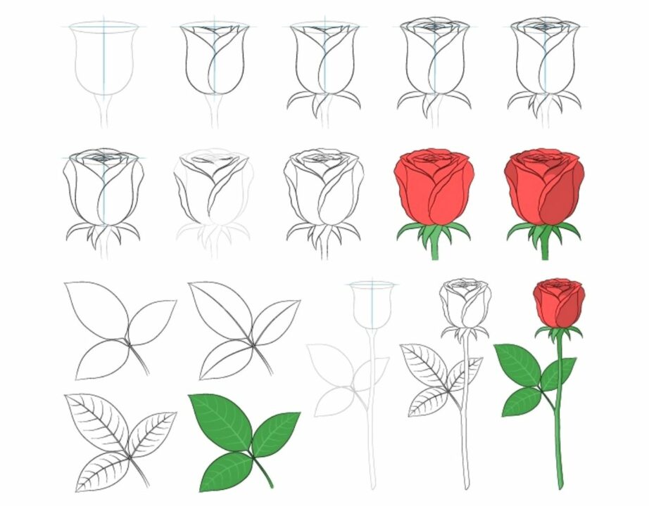 Detail Gambar Arsiran Bunga Mawar Nomer 34