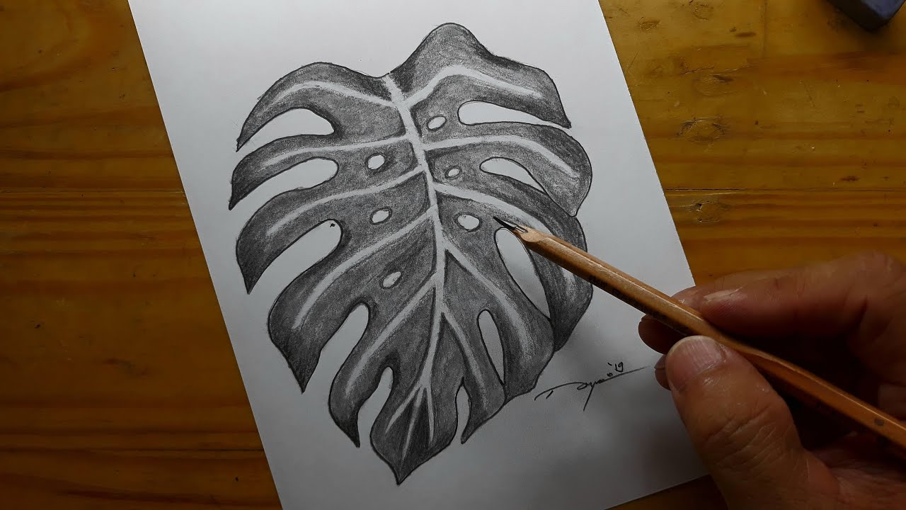 Detail Gambar Arsiran Daun Nomer 2