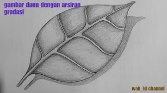 Detail Gambar Arsiran Daun Nomer 14