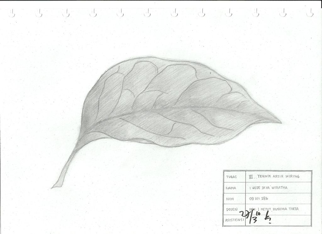 Detail Gambar Arsiran Daun Nomer 16