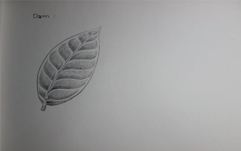 Detail Gambar Arsiran Daun Nomer 17