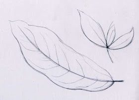 Detail Gambar Arsiran Daun Nomer 3
