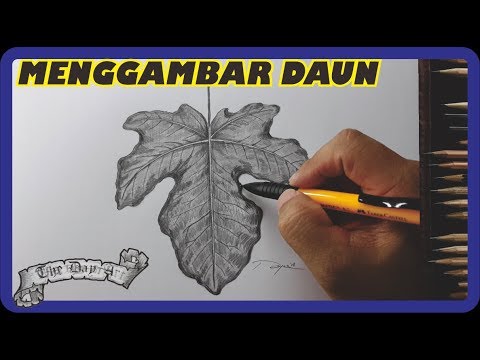 Detail Gambar Arsiran Daun Nomer 23