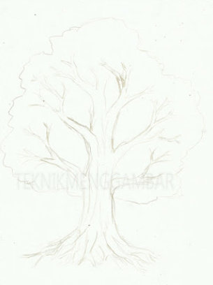 Detail Gambar Arsiran Daun Nomer 27